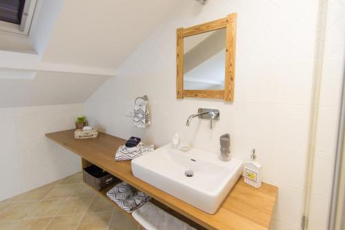 a bathroom with a white sink and a mirror at Hotel Alpenblick in Riedering