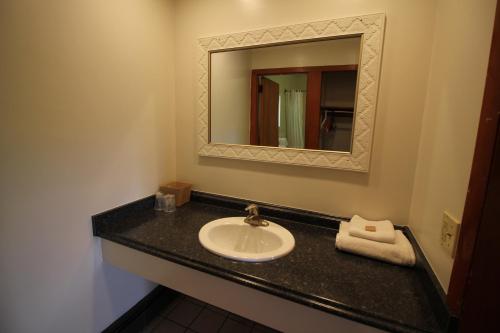 a bathroom with a sink and a mirror at Heidi's Inn in Brewster