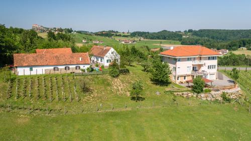 eine Luftansicht eines Hauses und eines Weinbergs in der Unterkunft Apartment Liendl in Riegersburg