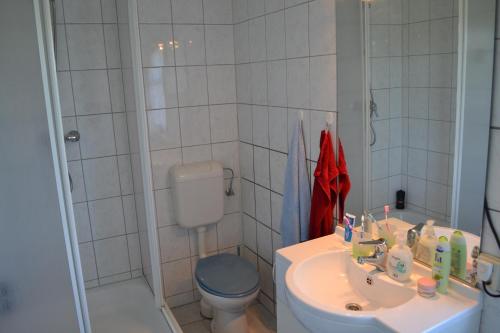 e bagno con lavandino, servizi igienici e doccia. di Auf der Weide a Lichtenhain