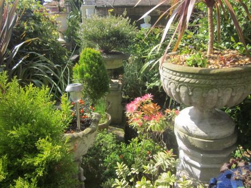 un jardin avec deux grands vases en pierre remplis de plantes dans l'établissement White Owl Holiday Apartments, à Robin Hood's Bay