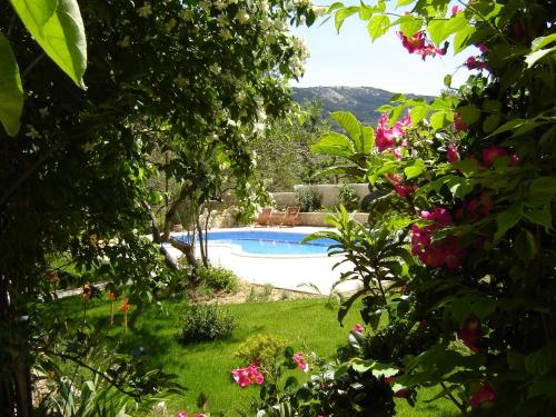 a view of a swimming pool from a garden at Apartments Mirjana in Rab
