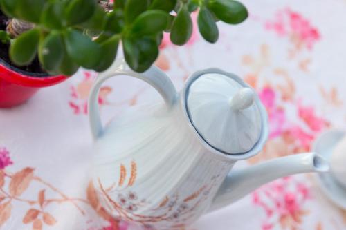 a white tea pot with a plant in it at Summer Rooms in Skala Kallirakhis