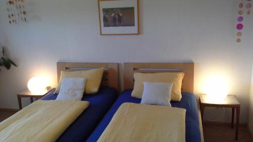 two beds in a room with two lamps on tables at Haus Alpenhof in Immenstadt im Allgäu