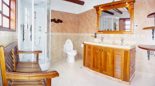 a bathroom with a shower and a toilet and a sink at Hotel Boutique Villa Roma in Villa de Leyva