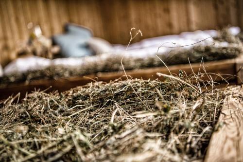 a wooden bin filled with hay and grass at Aurina Lodges in Lutago