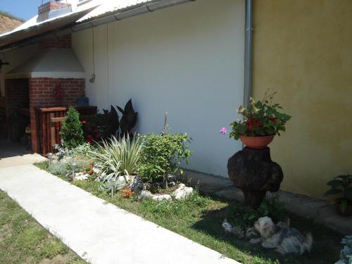 Taman di luar Apartments Pavlić