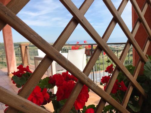 a view from the balcony of a house with red flowers at I Cardinali in Santa Marinella