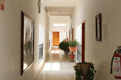 a hallway with potted plants in a building at Hotel Casablanca Tuxtla in Tuxtla Gutiérrez