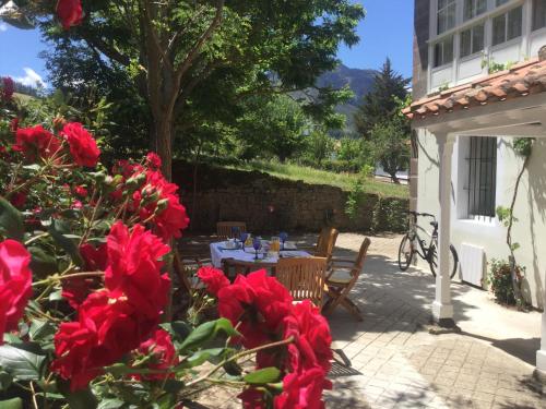 a patio with a table and red flowers at Villa Elena in Potes