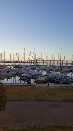 a bunch of boats are docked in a marina at Private Apartment Skudehaven in Rudkøbing