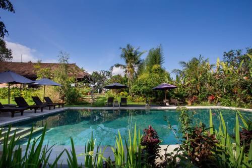 una piscina en un complejo con sillas y sombrillas en Subak Tabola Villa, en Sidemen