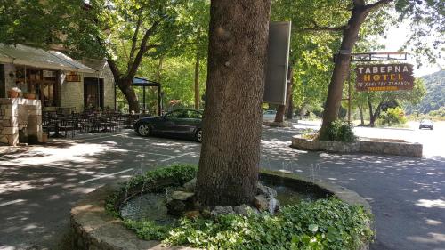 a tree on a street with a sign for a hotel at Hani Zemenou in Arachova