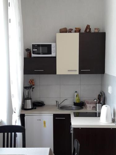 O bucătărie sau chicinetă la Apartments Eldin