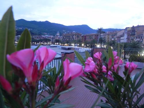 a beach with a bunch of flowers on it at Hotel Helios in Santa Margherita Ligure