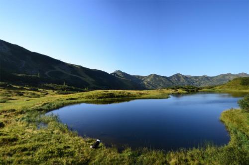 a lake in a field with mountains in the background at Alpengasthof Grimmingblick in Planneralm