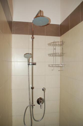 a shower with a shower head in a bathroom at B&B Emily Brindisi in Brindisi