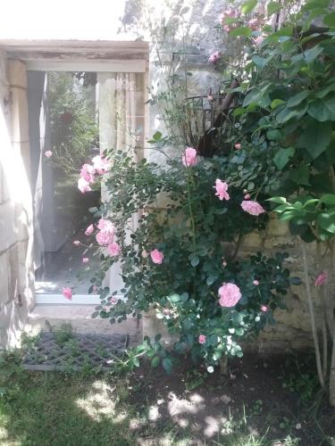 um arbusto de rosas cor-de-rosa ao lado de um edifício em B&B Le verger em Échillais