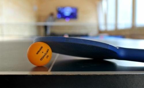 a ping pong racket and an orange ball on a table at Pensiunea Alpina in Malaia