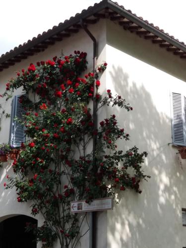 a bunch of red flowers on the side of a building at B&B Casa Zia Cianetta Residenza di Campagna in Capodacqua di Foligno