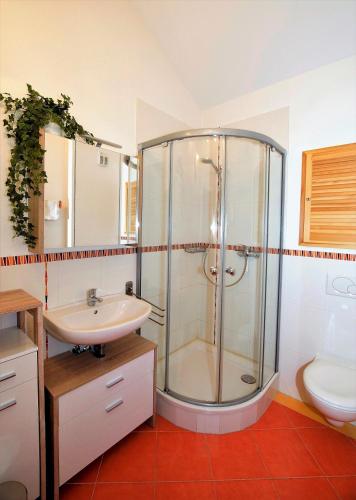 a bathroom with a shower and a sink at Ferienwohnung Benediktenwand in Lenggries