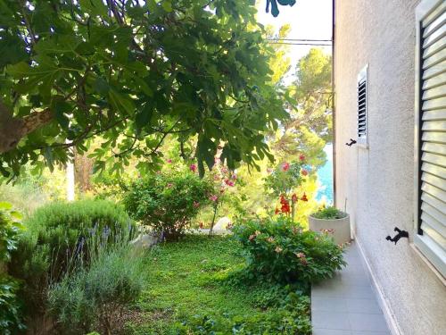 Taman di luar Apartment Martinovic