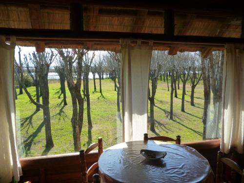 a dining room table with a view of a forest at Cabañas Manantiales de Obligado in San Pedro