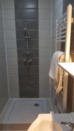 a bathroom with a shower with a shower head at Casa Tad in Buşteni