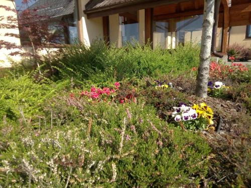 a flower garden in front of a building at Hanul Cocosul in Vităneşti