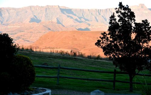 a tree in a field with a fence and mountains at Berghouse and Cottages in Langkloof