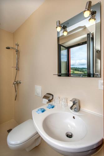 a bathroom with a white sink and a mirror at Hotel de France in Chaudeyrac