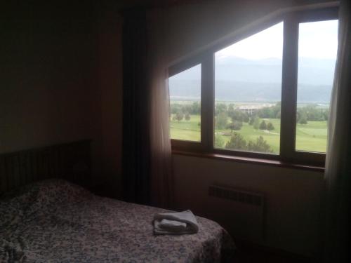ラズロクにあるPirin Golf Hotel & Apartmentのベッドルーム1室(ベッド1台、大きな窓付)