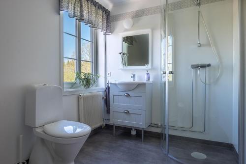 a bathroom with a toilet and a sink and a shower at Råshults Gård in Vimmerby