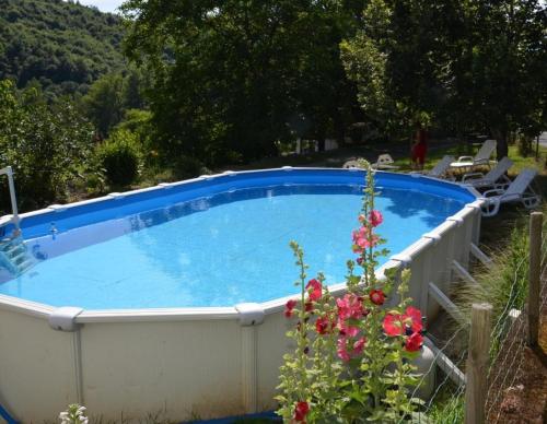 a large swimming pool in a yard with flowers at Maison hôtes Pacelian in Saint-Grégoire