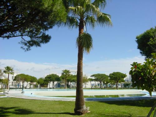 Jardín al aire libre en Apartamento Can Mayor - Apartelius - Chiclana