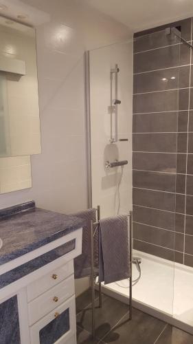 La salle de bains est pourvue d'une douche, d'un comptoir et d'un lavabo. dans l'établissement Maison Les Pins, à Aigues-Mortes