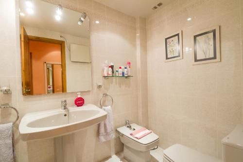 ein Badezimmer mit einem Waschbecken, einem WC und einem Spiegel in der Unterkunft Apartament Araneu in Vielha e Mijaran