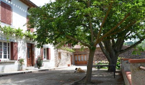Maison hôtes Pacelian – Photos 4
