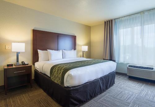 a hotel room with a large bed and a window at Comfort Inn Bentonville - Crystal Bridges in Bentonville