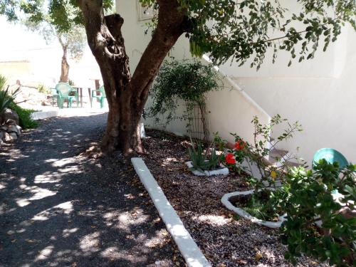 a tree in a yard next to a building at Olive Branch El Chorro in El Chorro
