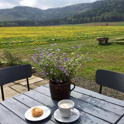 a table with a cup of coffee and a pot of flowers at Centrum Łąkowa 1 in Wünschelburg