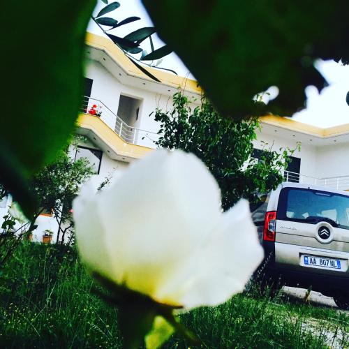 Gallery image of Kompleksi Turistik EDIR in Orikum