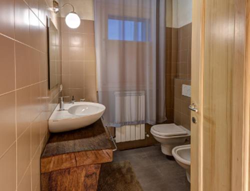 a bathroom with a sink and a toilet at B&B Corte Vignazza in Rovigo