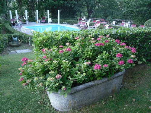 a large pot of flowers in front of a pool at Park Hotel Fantoni in Tabiano