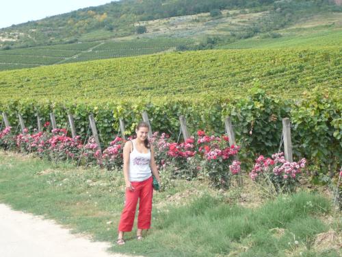 a woman standing in front of a field of flowers at Torkolat Panzió in Tokaj