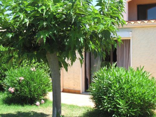 Residence les Bell'ombres – Photos 3