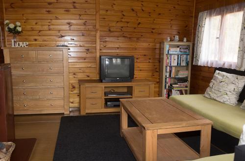 sala de estar con TV y paredes de madera en The Hideaway, en Želiv