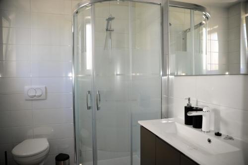 een badkamer met een douche, een toilet en een wastafel bij APP Rab Banjol 217 in Banjol