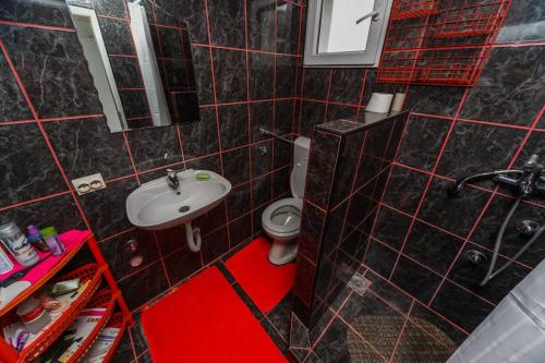 een kleine badkamer met een wastafel en een toilet bij Apartmani Marija in Sutomore