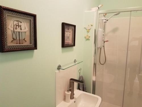 a bathroom with a sink and a shower at Dawlish Sea View Apartment in Dawlish